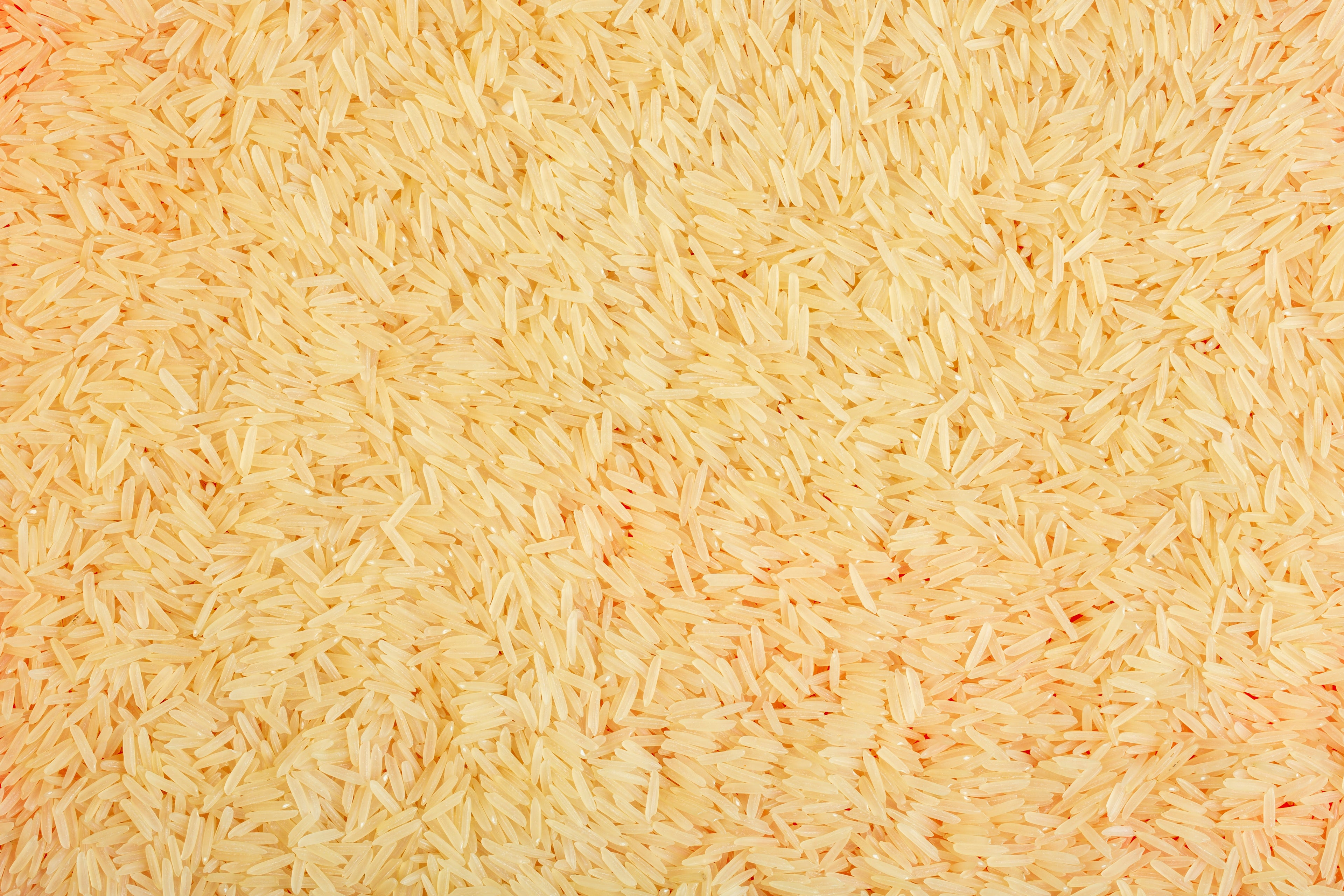 Close-up of uncooked yellow rice grains